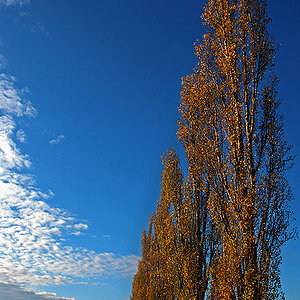 DSC 3576aa