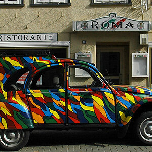 Goslar, Bunter Vogel 1aa