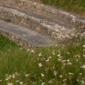 DSC3084