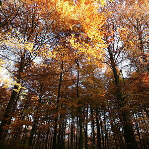Zum Licht