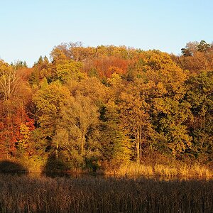 Degenbachsee3