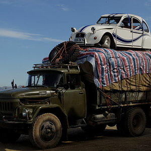 Mongolischer Ententransport