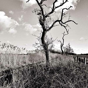 2009 02 14 15 43 41 1 sw