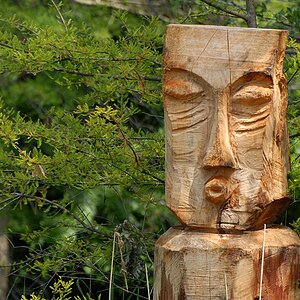 kuesse insel mainau