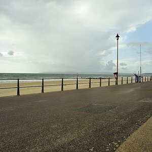 DSC7132 nff