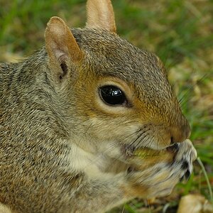 DSC7846crop