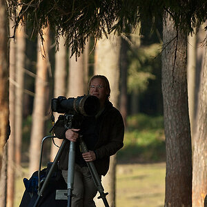 20090926 3279 [NIKON D2Xs]   300 mm  1 640 Sek. bei ƒ   4,5