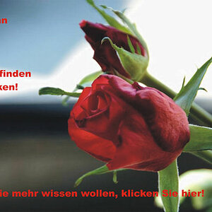 rot kann sich positiv