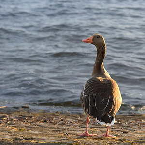DSC_9843 - Kopie.JPG