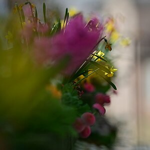 Blumenkasten_Plena.jpg