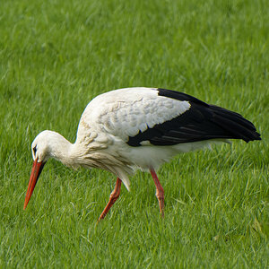 NIKON_2024_00030NF.jpg