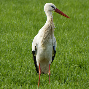 NIKON_2024_00031NF.jpg