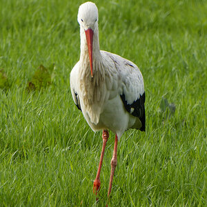 NIKON_2024_00033NF.jpg