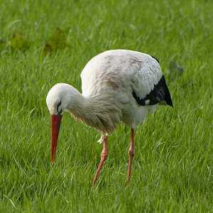 NIKON_2024_00034NF.jpg