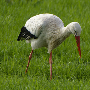 NIKON_2024_00037NF.jpg