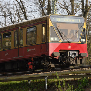 DSC_9899.JPG