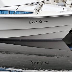 c_est_la_vie.jpg