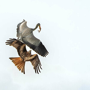_DX01732-Verbessert-RR-3.jpg