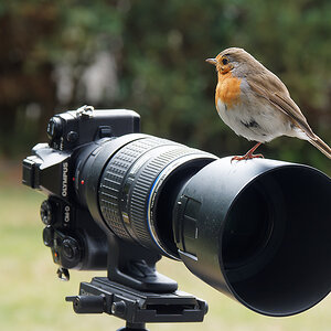 P5309919nikon.jpg