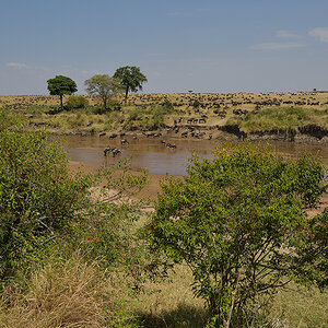 _85R3229_20180724_115625_2436Masai Mara 2018_3394Masai Mara 2018-1200.jpg