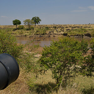 _85R3232_20180724_115633_2442Masai Mara 2018_3415Masai Mara 2018-1200.jpg