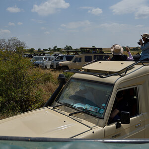 _85R3243_20180724_115708_2445Masai Mara 2018_3418Masai Mara 2018-1200.jpg