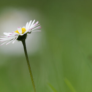 N3318201nikon.jpg
