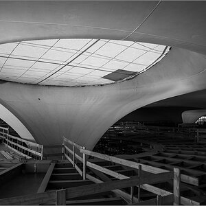 P3313837-2.jpg