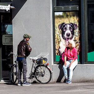 P4060026-Edit.jpg