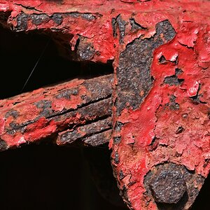 rost.jpg