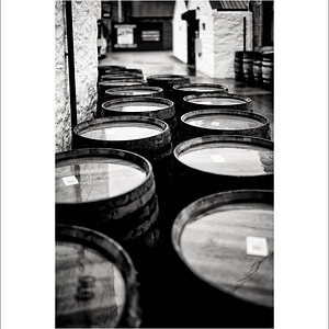 20240403-L1005097-Bearbeitet.JPG