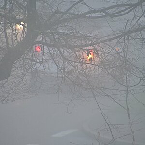 Nebel vor dem Dachfenster 2.jpg