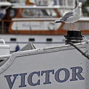 laboe_moewe_victor.jpg