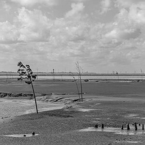 240414 Wremer Tief-2.jpg