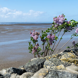240414 Wremer Tief-4.jpg