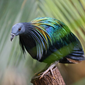 P1165380-2.jpg
