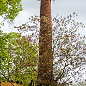 OF2_68790.jpg