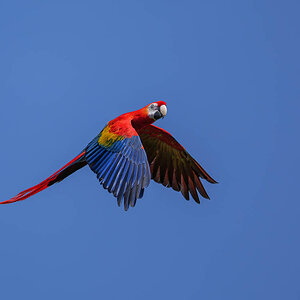 P1153862-2.jpg