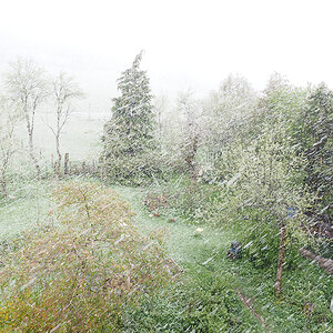 P4160040-Edit.jpg