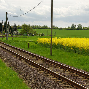 OF2_68738.jpg