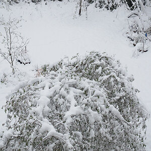 P4180042-Edit.jpg