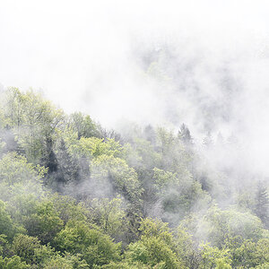 Nebel.jpg