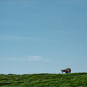 D72_5730-Verbessert-RR.jpg