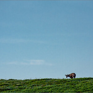 D72_5730-Verbessert-RR.jpg