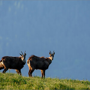 D72_5815-Bearbeitet.jpg