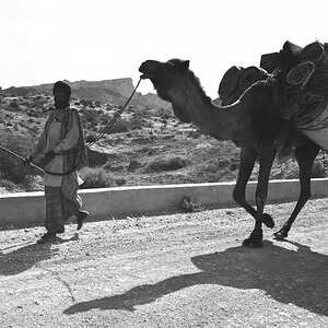 Nouruz75-18.jpg