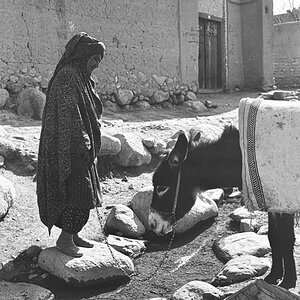 Nouruz75-9.jpg