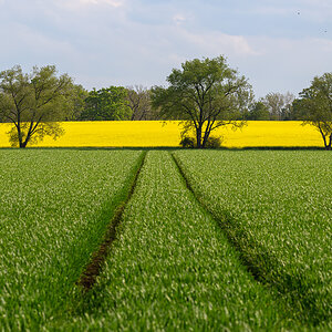 OF5_44121.jpg