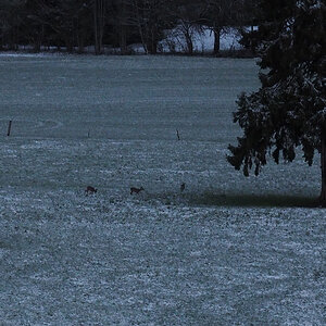 P4200002-Edit.jpg