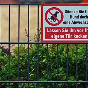 schild_hund.JPG
